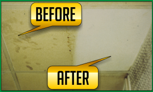 Acoustical Ceiling Restoration of a Vinyl Tile Ceilings in a Kitchen Acoustical Ceiling Restoration and Cleaning of Ceiling Tiles in a Kitchen